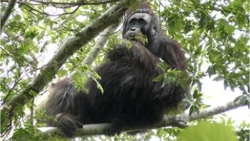 Photo: ${params.title}