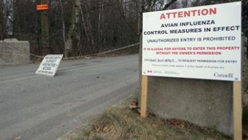 Photo: ${params.title}