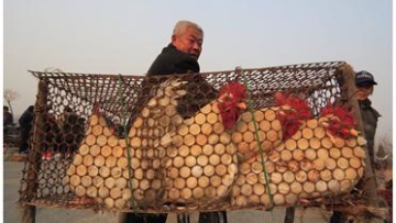 Photo: ${params.title}